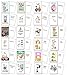 Stonehouse Collection | Boxed Set of 24 Funny Birthday Cards | Good, Clean Humor for the Whole Family or Workplace | It's Their Special Day, Make them Laugh | Made in the USA