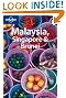 Malaysia Singapore and Brunei (Lonely Planet Country Guides)