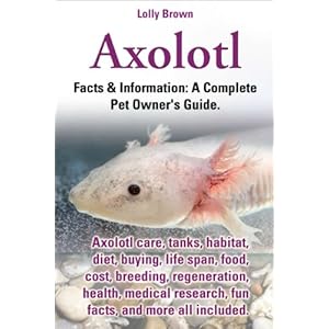 Axolotl. Facts & Information: A Complete Pet Owner's Guide. Axolotl care, tanks, habitat, diet, buying, life span, food, cost, breeding, regeneration