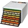 Excalibur 2900 9 Tray Food Dehydrator, Jerky Maker - White