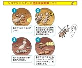 ��������ϥ󥿡���6����/���ۤ�/������/�ץ쥼���/�Х�󥿥���/��ǯ��/´�Ƚˤ�