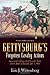 Gettysburg's Forgotten Cavalry Actions: Farnsworth's Charge, South Cavalry Field, and the Battle of Fairfield, July 3, 1863