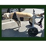 Dog Wheelchair for Large Dog (Size 5) By Huggie Cart. Approximate Weight 60-99 Lbs