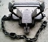 #3 Coilspring Coyote Trap