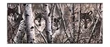 York Wallcoverings Lake Forest Lodge WD4170B Wolves Border, Off White/Gray Band