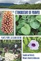 Ethnobotany of Pohnpei: Plants, People, and Island Culture