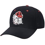 Zephyr Georgia Bulldogs Black DH Logo Fitted Hat