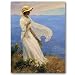 September Sunlight - Gift Enclosure Cards (set of 12)