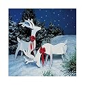 Holiday Reindeer Pattern