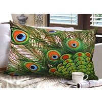 XH107 - Elegant Decorative Throw Pillow Cover - Rectangular Peacock Feather Fashion Design on Both Sides - Soft Velvet Fabric