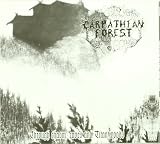 Through Chasm Caves & Titan Woods
