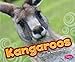 Kangaroos (Australian Animals)