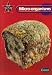 New Star Science Year 6/P7: Micro-Organisms Pupil's Book: Micro-organisms Year 6 (STAR SCIENCE NEW EDITION)