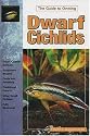 Dwarf Cichlids: Keeping & Breeding Them in Captivity