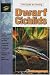 Dwarf Cichlids: Keeping & Breeding Them in Captivity