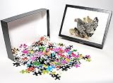 Photo Jigsaw Puzzle of JD-21779 CHICKEN. Silver laced wyandotte with chicks from Ardea Wildlife Pets