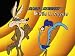 Looney Tunes: Road Runner & Wile E. Coyote