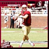 2012 Florida State Seminoles 12 x 12 Wall