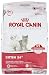 Royal Canin Feline Nutrition Dry Kitten Food 15 lb