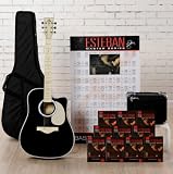 Esteban Vintage Legacy Black Acoustic Electric Guitar Package w/ Amplifier, Accessories and 10 Instructional DVDs