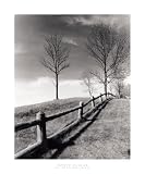 Fences And Trees, Empire, Michigan - Artist: Monte Nagler - Art Print Poster Size: 20.00 by 24.00 inches