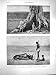 1877 Famine India Bellary District Madras Presidency