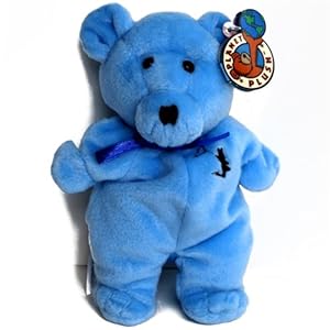 Amazon.com: Windy the Chicago Bear, Sally Winey for Planet