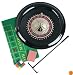 Fat Cat Deluxe Roulette Wheel