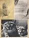 Hannah Hoch: Album, Limited Edition