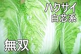 【生産農場直送】 ハクサイ苗 【無双】ハクサイ 葉菜苗 4株入りパック プロ農家も使う葉菜苗 野菜苗 ガーデニング 家庭菜園