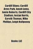 Cardiff Blues: Cardiff Blues Players, Cardiff Arms Park, Jamie Roberts, Jonah Lomu, Cardiff City Stadium, Gareth Thomas, Iestyn Harri: Cardiff Blues ... Gethin Jenkins, Martyn Williams, Aled Brew
