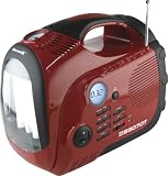 WeatherX RPS8807DT 200-Watt Portable Power System with Weatherband and AM/FM Radio