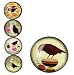 iPop Amy Ruppel Pretty Birds 4 Pack Magnet Set and Big Click Duo