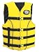 Stearns Classic Series Life Vest
