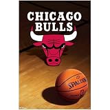 Chicago Bulls Logo NBA 22"x34" Art Print Poster