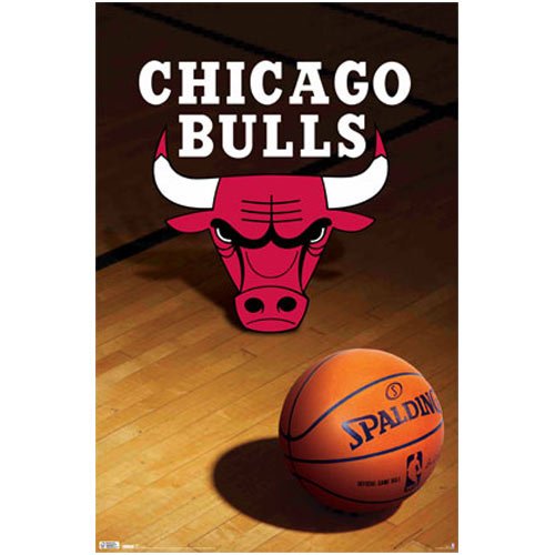 Chicago Bulls Logo NBA 22"x34" Art Print Poster