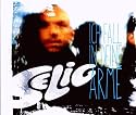 Ich Fall in Deine Arme (2-Track)
