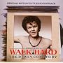 Walk Hard: The Dewey Cox Story