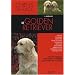 Le Golden Retriever