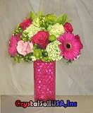 5 Pack Pink CrystalSoilUSA(TM) Brand