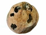 Siena Garden 837856 Teak Deko Ball, &Oslash; 50cm, ge&ouml;lt