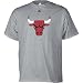 Search : adidas Chicago Bulls Secondary Logo T-Shirt