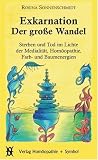 Exkarnation - Der große Wandel: Sterben und Tod im Lichte der Medialität, Homöopathie, Farben- und Baumenergien