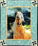 IMAGE OF Embellished Cross Stitch Kit Golden Sunset & Windmill Block Quilt Pattern From Candamar Design