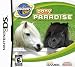 Discovery Kids Pony Paradise