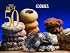 The Best 50 Cookie Recipes (The Best 50)
