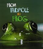 From Tadpole to Frog (How Living Things Grow)