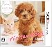 nintendogs + cats トイ・プードル & Newフレンズ