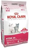 Royal Canin Dry Cat Food, Kitten 36 Formula, 7-Pound Bag