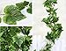 Artificial Ivy Grape Leaves Vine Foliage Simulation flowers vine grape leaves plants for Home room Garden Garland outside decoration - 8.5 Ft, 10pcs by FatColo